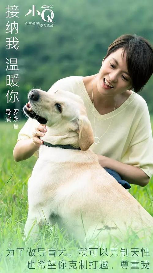 国外学历去哪里查询